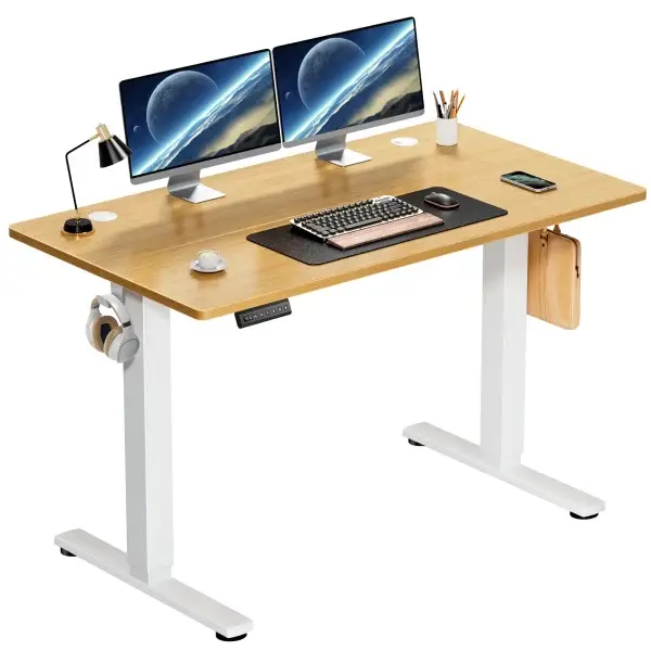 Electric Standing Desk Workstation Ergonomic Work Table